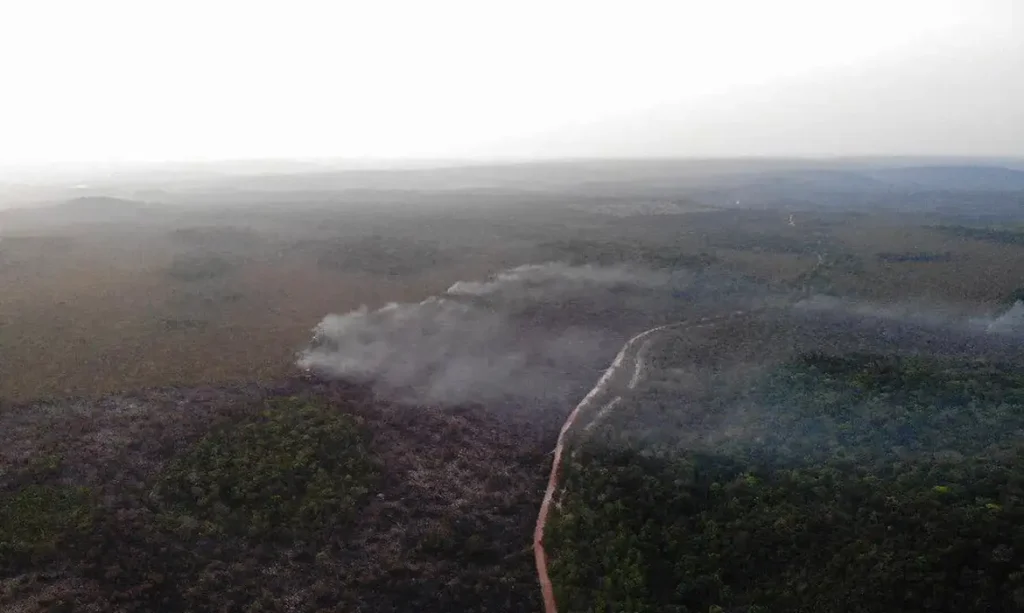 Área queimada no Brasil em janeiro equivale a dez estados do tamanho de Sergipe, aponta Monitor do Fogo