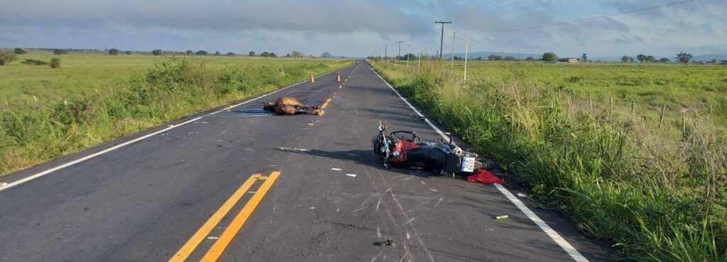 Motociclista morre após colisão com cavalo na rodovia SE-290, em Tobias Barreto