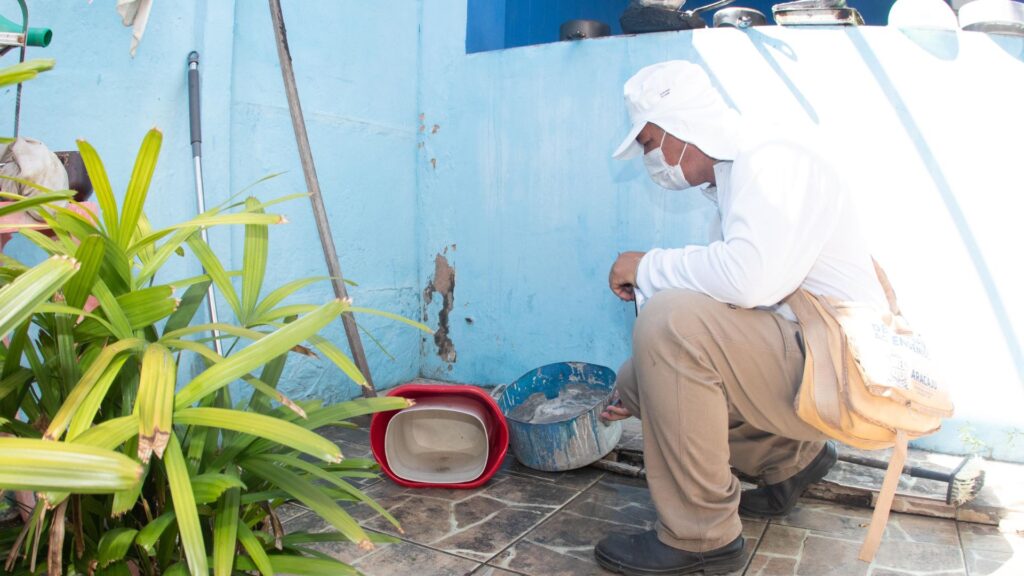 Oito municípios sergipanos estão com alto risco de infestação pelo Aedes aegypti