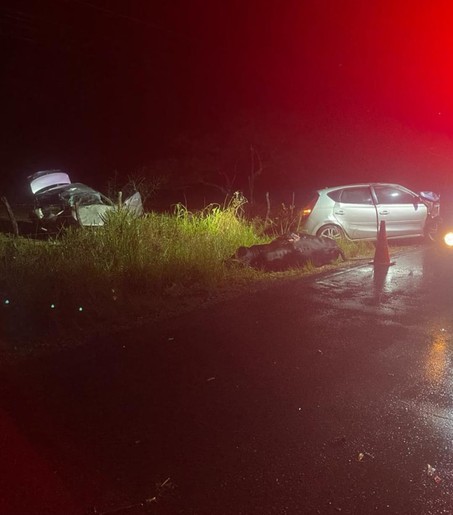 Motorista morre após colidir com uma vaca e bater em carro na SE-170, próximo a Lagarto