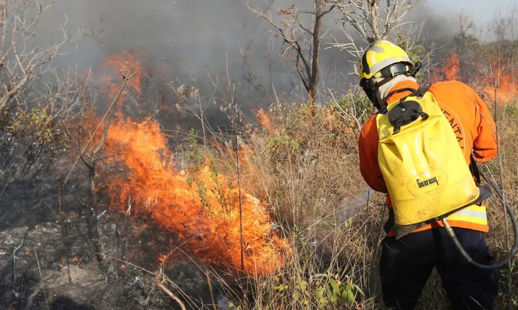 Governo Federal anuncia R$ 514 milhões para combater incêndios florestais