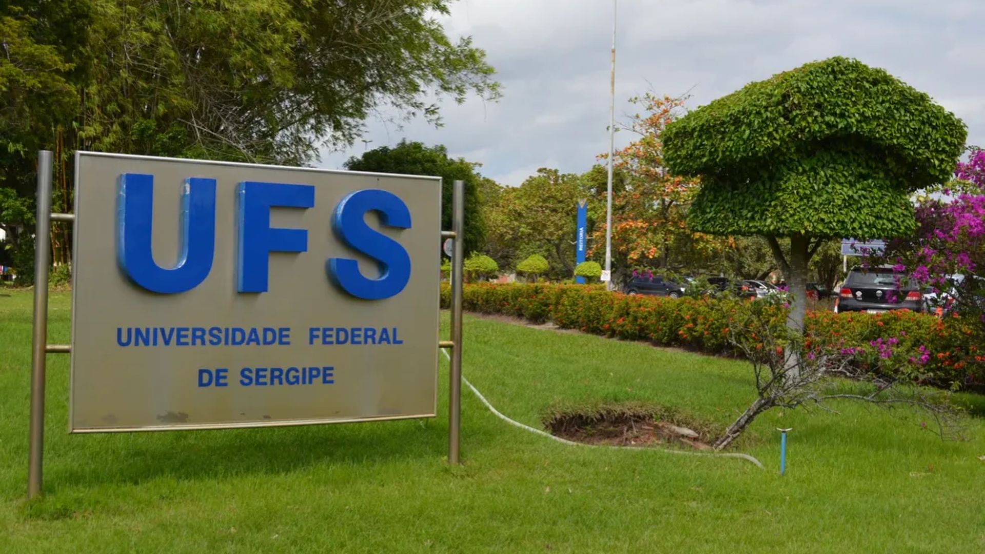 Ufs Phoenix UFS abre processos seletivos para programas de pós-graduação - Fan F1