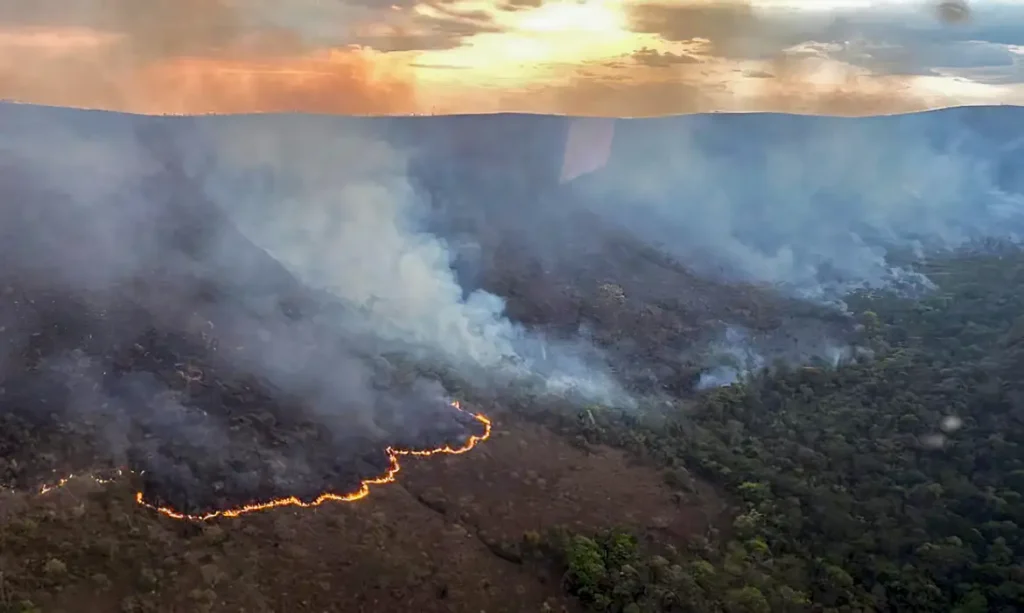 Mais de 220 mil focos de incêndios já foram registrados no Brasil neste ano