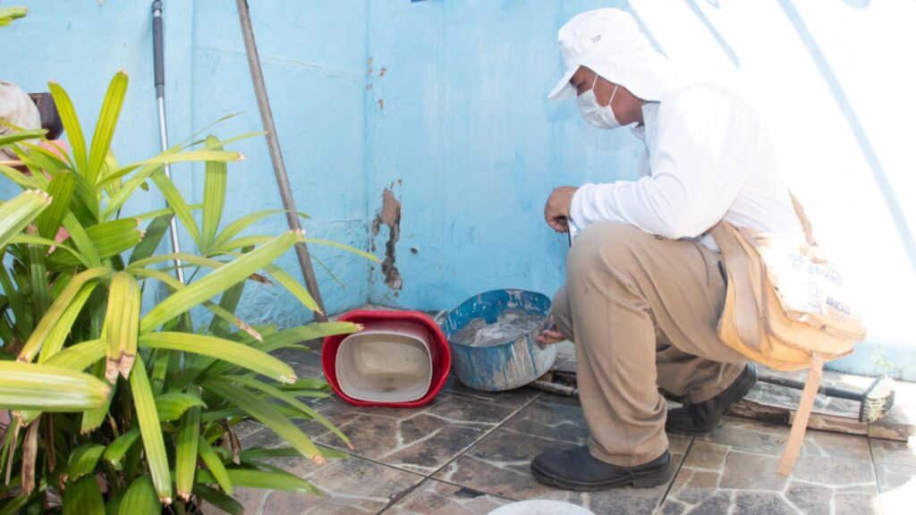 LIRAa: três municípios sergipanos apresentam alto índice de infestação pelo Aedes aegypti