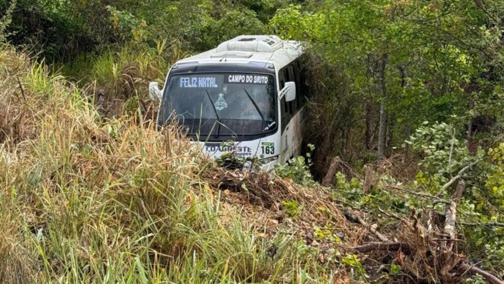 Motorista de micro-ônibus perde controle de veículo e cai em mata às margens da Rodovia João Paulo II