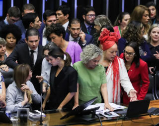 mulheres na politica